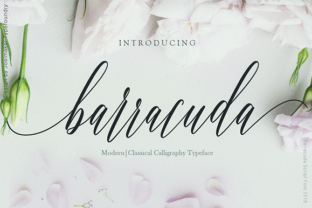 Barracuda Script: A Modern Calligraphy Font for Elegant Design