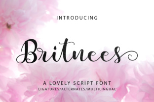 Britnees Script: A Fresh Take on Feminine Script Typography